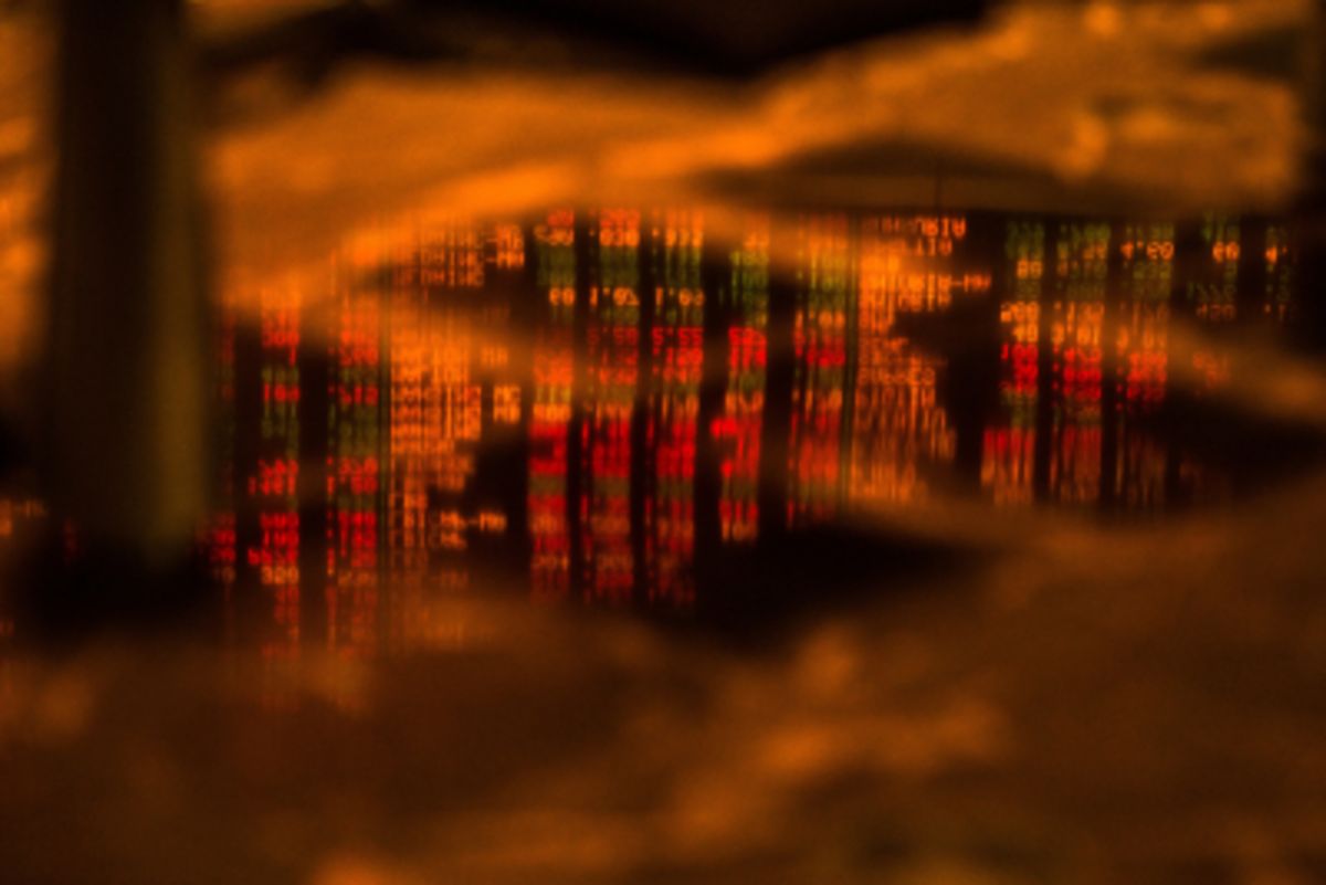 1200x801.jpg Hedge Funds Dug Into Stocks Right Before the Market Went Mad