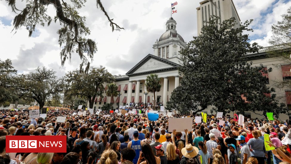 Florida gun law moves step closer