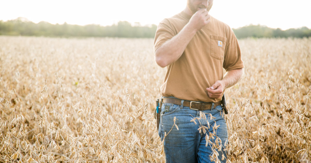 Economy Grew at 4.1% Rate in Quarter, With Some Asterisks