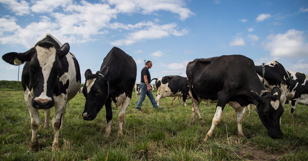 Nafta Talks Between U.S. and Canada Turn Tense as Deadline Looms Nafta Talks Between U.S. and Canada Turn Tense as Deadline Looms