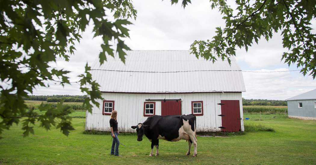 01dc-nafta-hp-facebookJumbo.jpg U.S. and Canada Reach Deal to Salvage Nafta