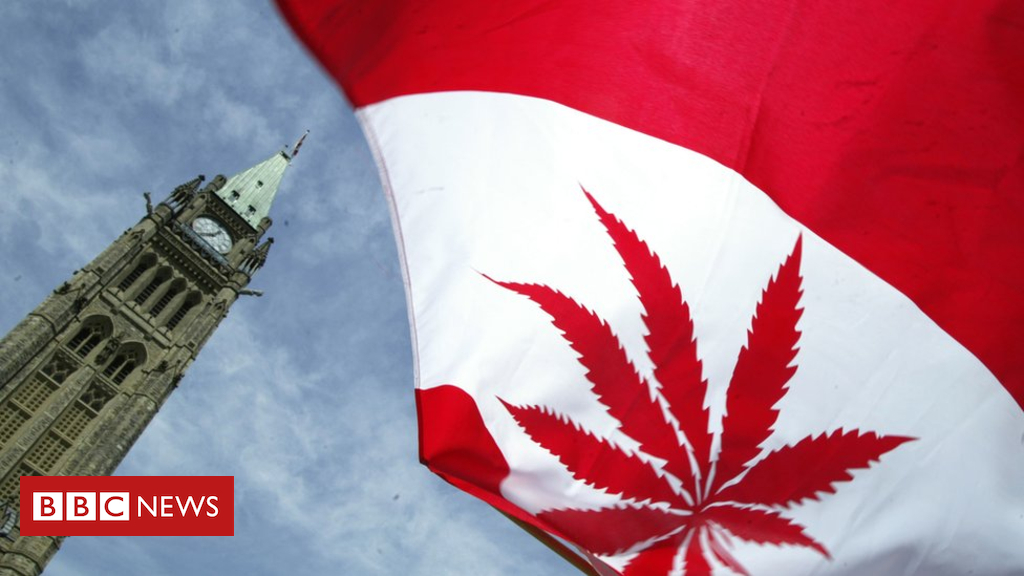 103801523_gettyimages-50929586.jpg Canada legalises sale and use of cannabis