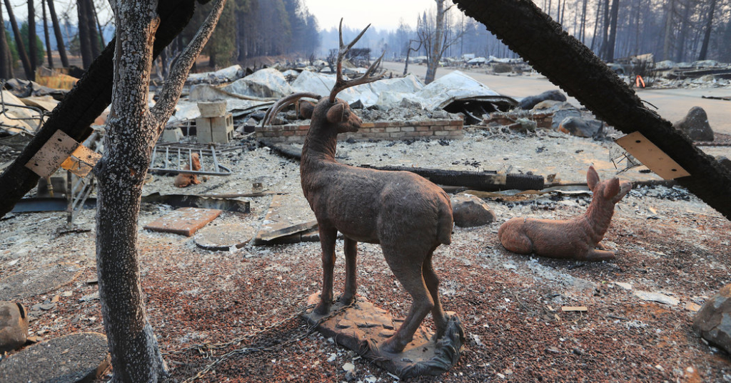 California Wildfires Updates: 42 Dead in Camp Fire and Toll Expected to Rise