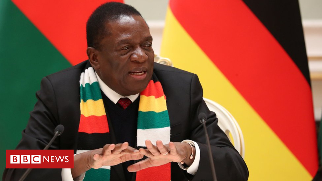 Zimbabwe leader abandons trip amid unrest