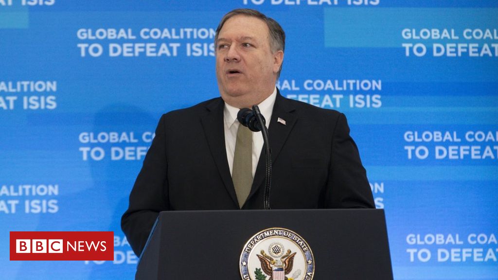 US vows IS fight despite Syria pullout US vows IS fight despite Syria pullout