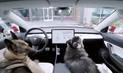 tesla-dog-mode.png ‘My Owner Will Be Back Soon. Don’t Worry! Tesla Just Launched ‘Dog Mode’