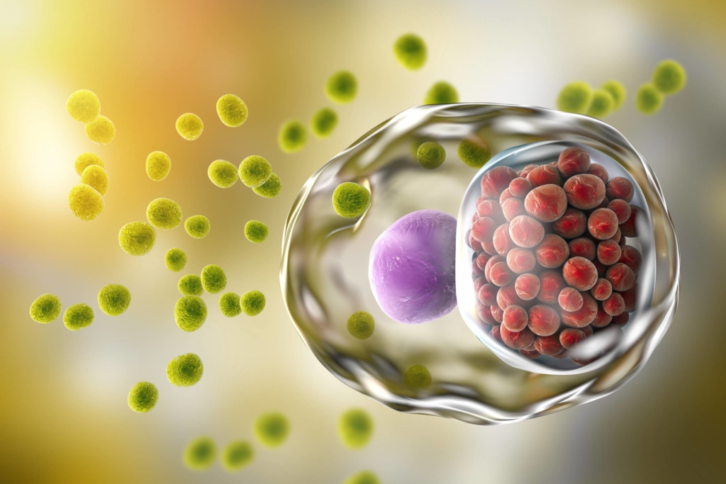 Why Sex-Related Infections Are Spreading Again