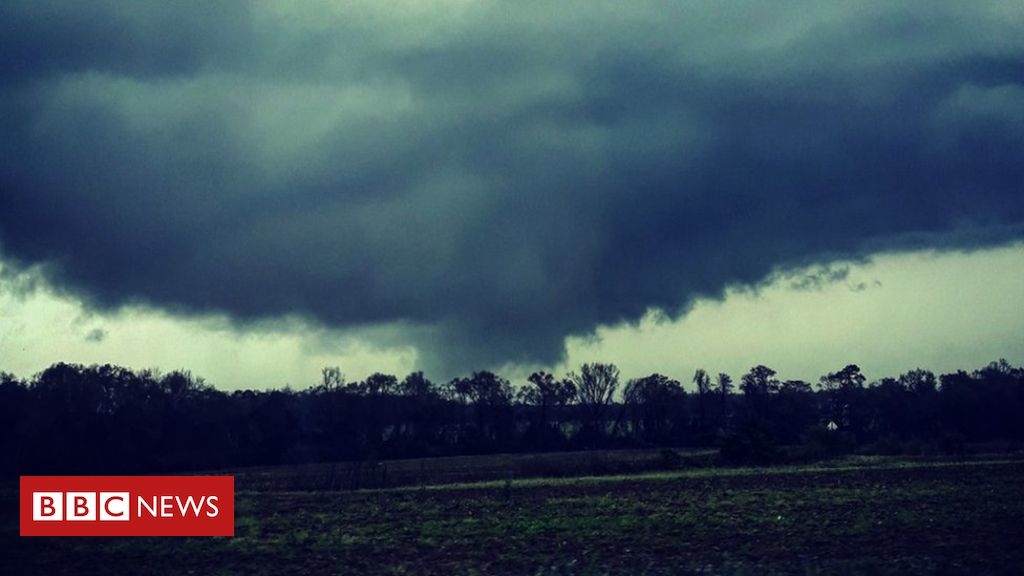 Tornadoes kill at least 14 in Alabama