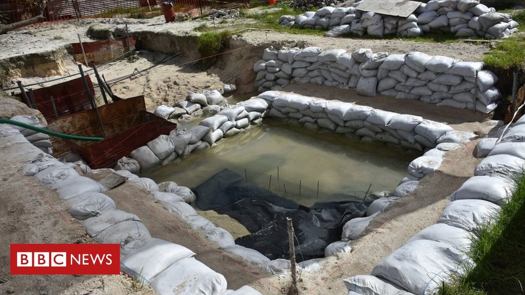 Bodies of US WW2 troops found on island