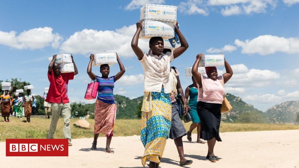 Millions in Zimbabwe ‘facing food crisis’
