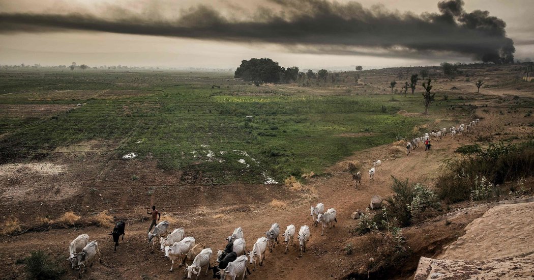 Climate Change Threatens the World’s Food Supply, United Nations Warns Climate Change Threatens the World’s Food Supply, United Nations Warns