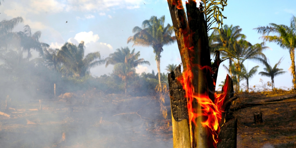 More than 74,000 fires have been recorded in the Brazilian Amazon this year. Here’s why that’s a big deal.