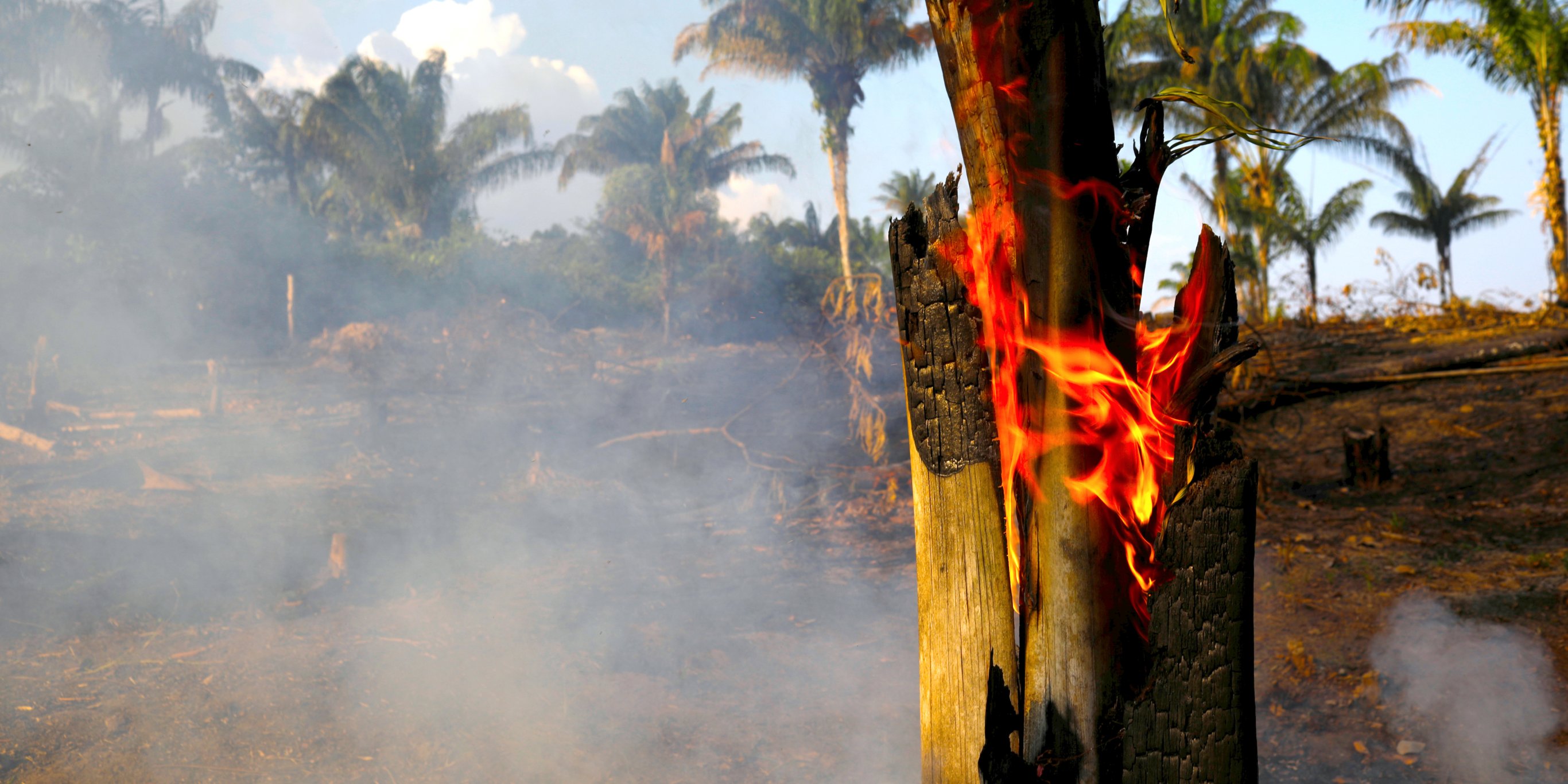 some-of-the-photos-celebrities-are-sharing-of-the-amazon-fires-were-actually-taken-several-years-ago-and-it-shows-a-fundamental-problem-with-social-media.jpg Some of the photos celebrities are sharing of the Amazon fires were actually taken several years ago, and it shows a fundamental problem with social media