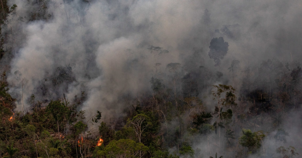 Brazil Says It Will Reject $22 Million in Amazon Aid Pledged at G7