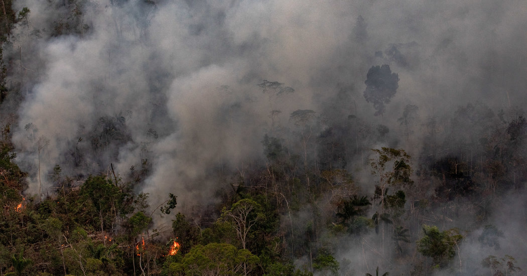 brazil-says-it-will-reject-22-million-in-amazon-aid-pledged-at-g7.jpg Brazil Says It Will Reject $22 Million in Amazon Aid Pledged at G7