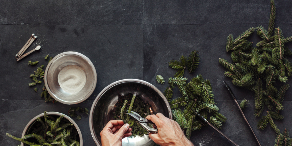 The Resurgence of Spruce Beer, the Cold Weather Brew With Roots in Quebec