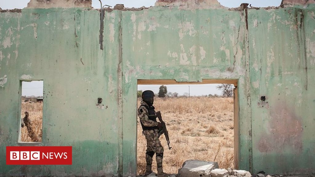 Nigerian army investigates torture video