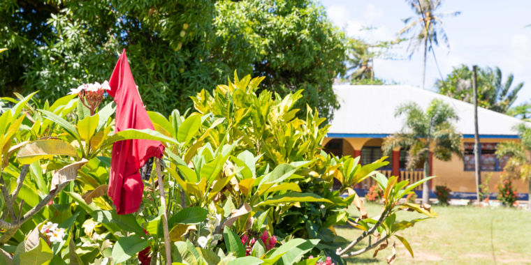 leading-anti-vaxxer-jailed-as-measles-death-toll-rises-to-63-in-samoa.jpg Leading anti-vaxxer jailed as measles death toll rises to 63 in Samoa