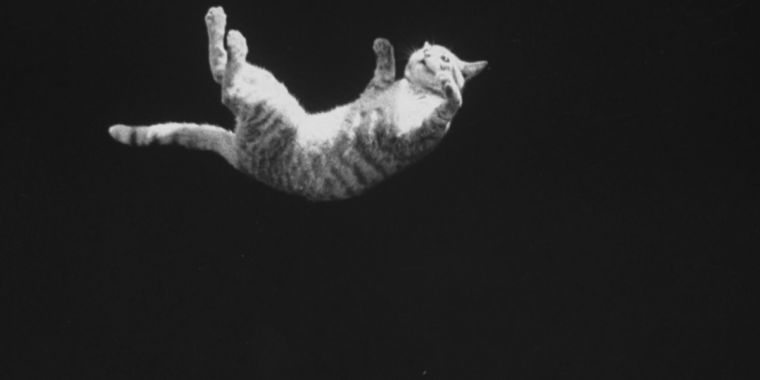 the-surprisingly-complicated-physics-of-why-cats-always-land-on-their-feet.jpg The surprisingly complicated physics of why cats always land on their feet