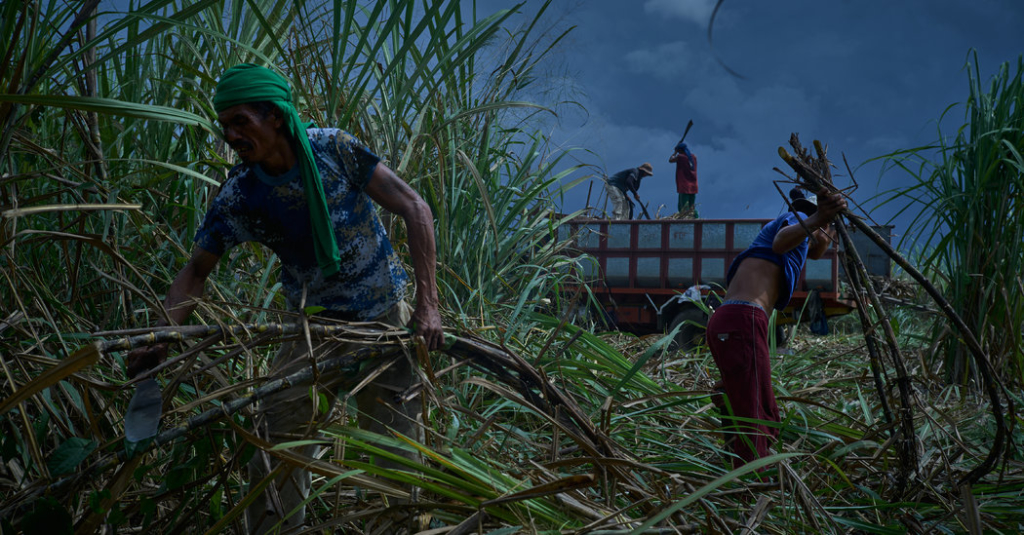 Philippine Peasants Were Promised Land. Staking a Claim Can Be Deadly.