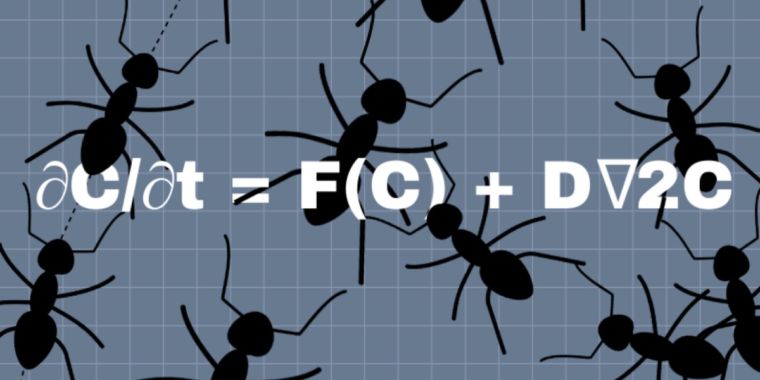 clustering-pattern-of-azteca-ant-colonies-may-be-due-to-a-turing-mechanism.jpg Clustering pattern of Azteca ant colonies may be due to a Turing mechanism