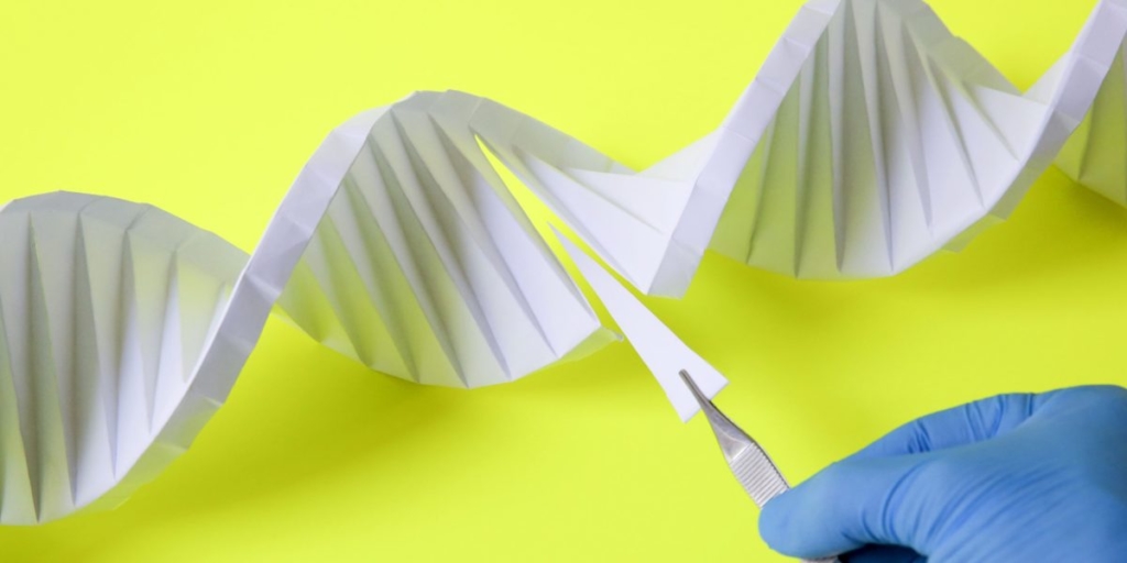 First step in study shows CRISPR gene-edited cells are safe for use in cancer patients