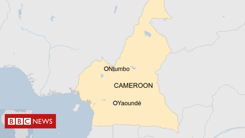 At least 22 killed in attack on Cameroon village