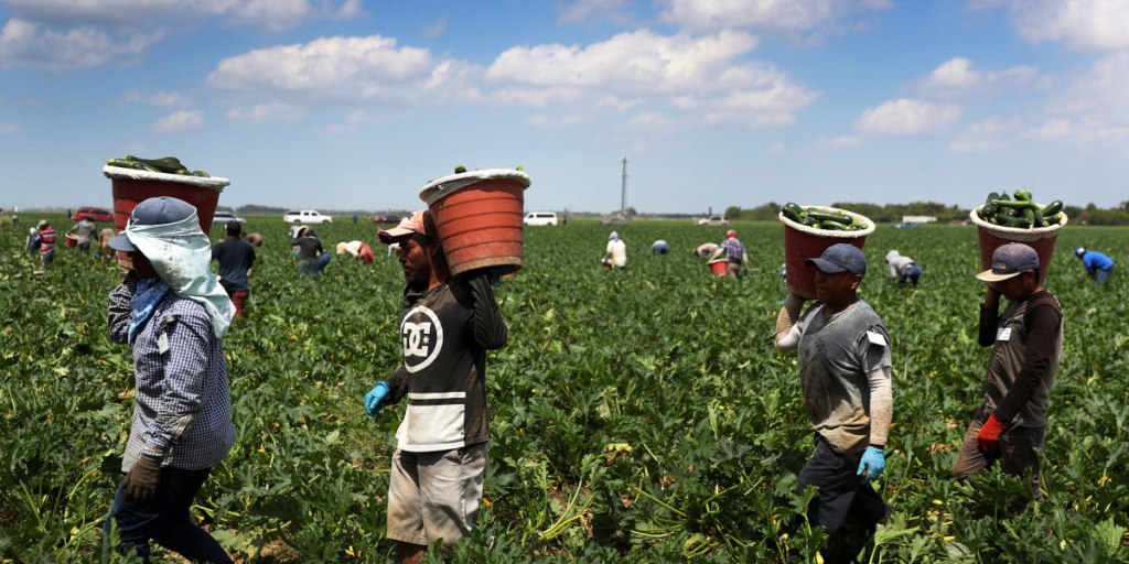 Farmworkers deemed ‘essential’ but are left unprotected during coronavirus pandemic