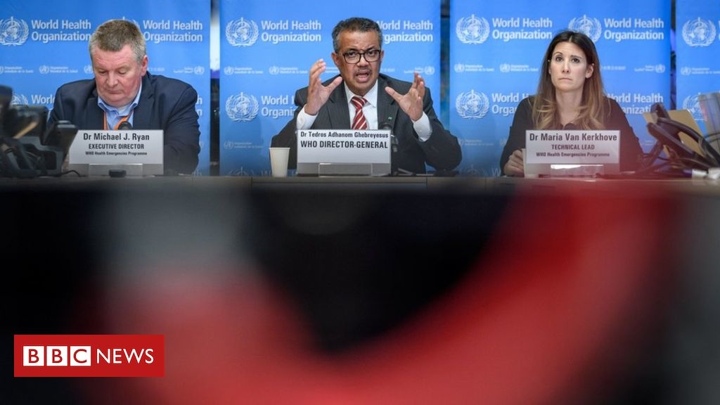 Trump claims about WHO fact-checked