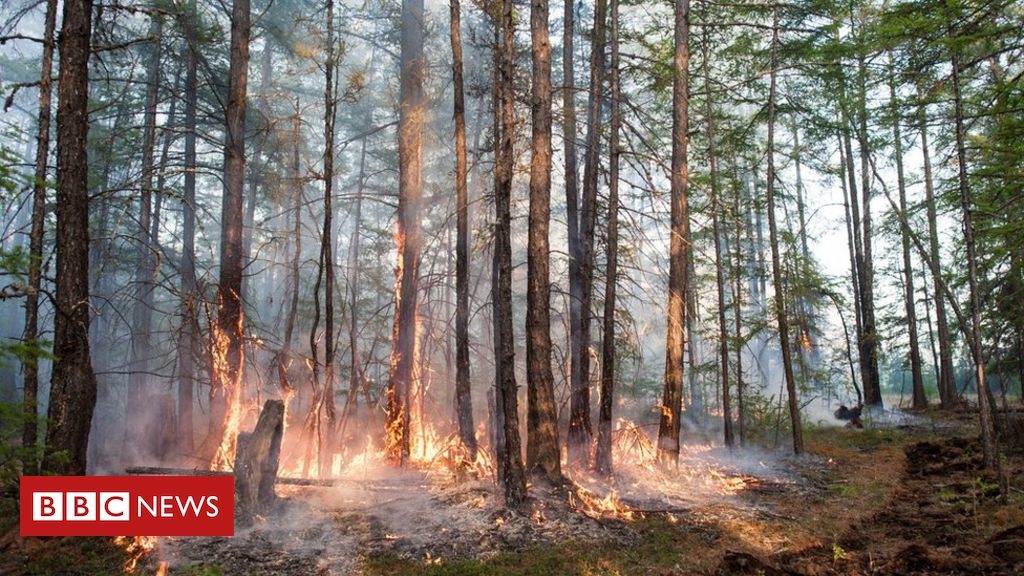 Arctic Circle sees ‘hottest-ever’ temperatures