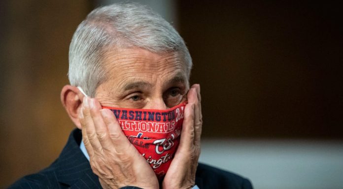 Fauci says US could see 100,000 new coronavirus cases per day – Business Insider Fauci says US could see 100,000 new coronavirus cases per day – Business Insider