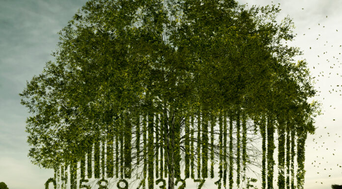 The key to making your company greener? A strong finance team The key to making your company greener? A strong finance team