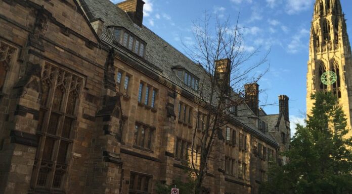 Asian-American scholars say DOJ Yale investigation pits POC against each other – Insider Asian-American scholars say DOJ Yale investigation pits POC against each other – Insider