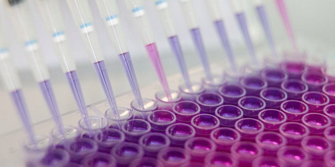 the-rollercoaster-of-covid-19-vaccines.jpg The rollercoaster of COVID-19 vaccines