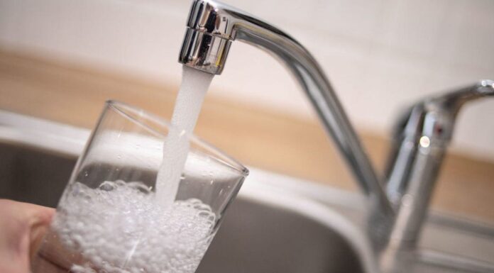 Brain-eating amoeba found in Texas city tap water, kills child aged 6 – Business Insider Brain-eating amoeba found in Texas city tap water, kills child aged 6 – Business Insider