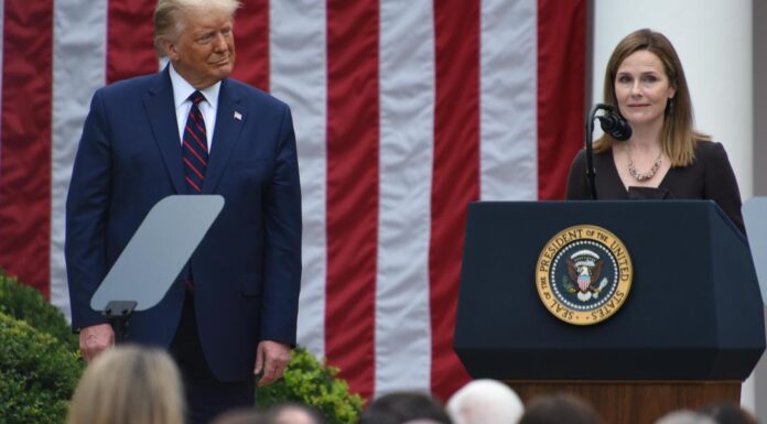 Why Trump nominated Amy Coney Barrett to the Supreme Court Why Trump nominated Amy Coney Barrett to the Supreme Court