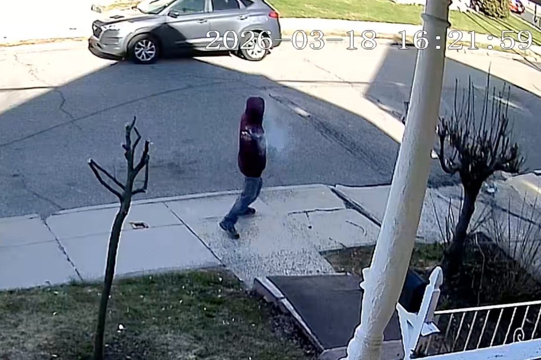 video-shows-accused-bomb-fiend-hurling-device-in-ny-street-days-before-arrest video-shows-accused-bomb-fiend-hurling-device-in-ny-street-days-before-arrest