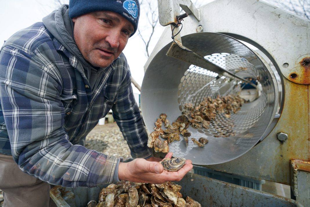 winter’s-deep-freeze-sank-long-island’s-massive-oyster-industry,-costing-farmers-millions:-‘worst-of-the-century’