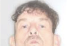 Upstate NY man allegedly tried to stab family member — while dressed as a cow upstate-ny-man-allegedly-tried-to-stab-family-member-—-while-dressed-as-a-cow