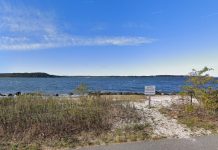 Woman’s body found floating in Long Island Sound prompting homicide investigation woman’s-body-found-floating-in-long-island-sound-prompting-homicide-investigation