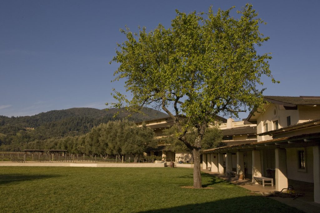 napa-valley-giant-issues-doomsday-warning-for-wine-industry-as-ceo-steps-down