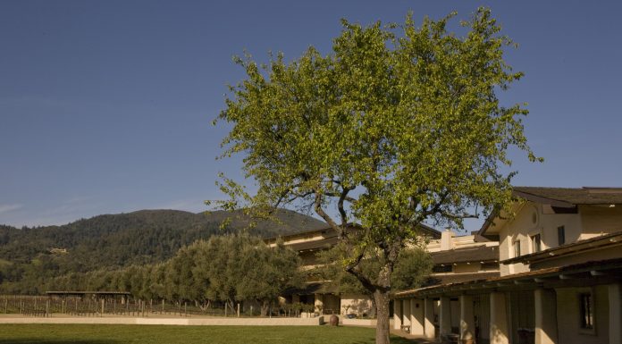 Napa Valley giant issues doomsday warning for wine industry as CEO steps down napa-valley-giant-issues-doomsday-warning-for-wine-industry-as-ceo-steps-down