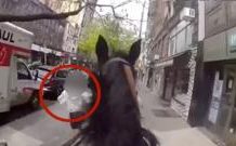 Officer on horseback chases suspect through New York streets officer-on-horseback-chases-suspect-through-new-york-streets