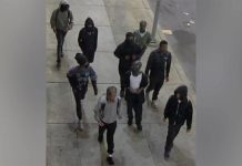 Violent teen mob beats Temple University student in dorm in vicious caught-on-video attack violent-teen-mob-beats-temple-university-student-in-dorm-in-vicious-caught-on-video-attack