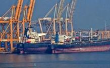 United Arab Emirates to quit oil cartel Opec united-arab-emirates-to-quit-oil-cartel-opec