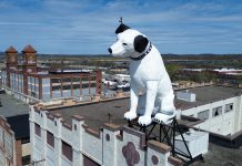 Future of beloved 28-foot-tall dog statue named ‘Nipper’ on a NY warehouse is up in the air future-of-beloved-28-foot-tall-dog-statue-named-‘nipper’-on-a-ny-warehouse-is-up-in-the-air