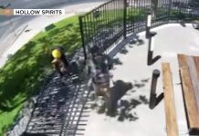 New Mexico distillery owner stunned by broad daylight theft of $10K fence: ‘Didn’t realize people steal fences’ new-mexico-distillery-owner-stunned-by-broad-daylight-theft-of-$10k-fence:-‘didn’t-realize-people-steal-fences’