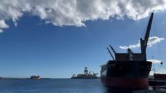 tenerife-medics-poised-for-arrival-of-virus-hit-cruise-ship tenerife-medics-poised-for-arrival-of-virus-hit-cruise-ship